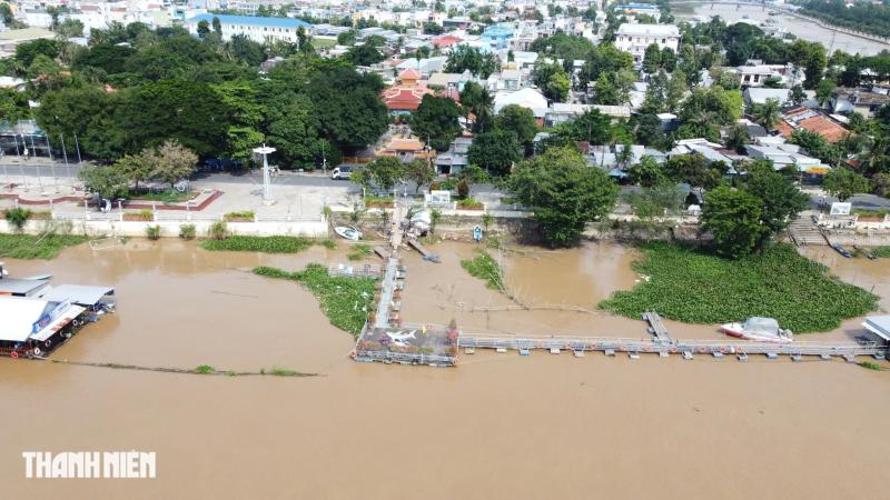 Đàn cá lạ mang chấm trắng trên đầu, được người dân bảo vệ như báu vật - Ảnh 6.