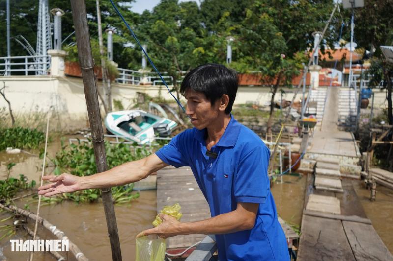Đàn cá lạ mang chấm trắng trên đầu, được người dân bảo vệ như báu vật - Ảnh 1.
