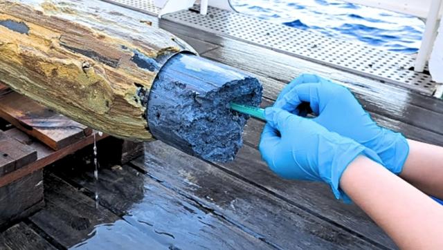 Phát hiện dấu vết bí ẩn của sự sống trong bùn núi lửa ở Thái Bình Dương - Ảnh 1.