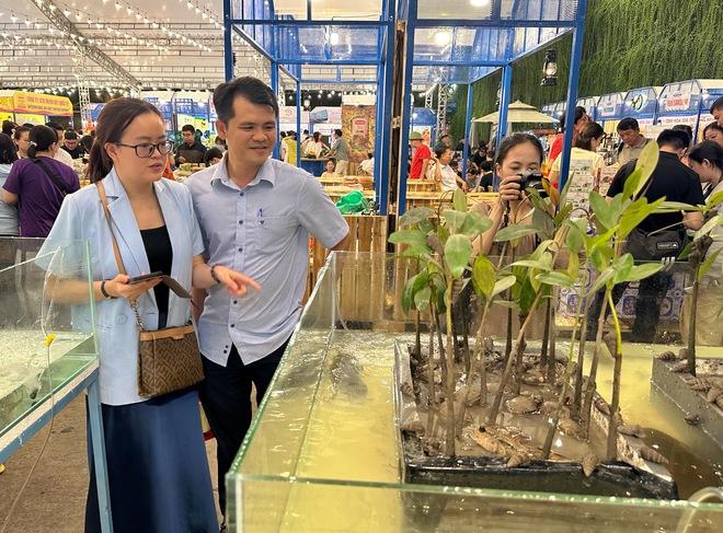 Ngắm cá biết leo cây độc lạ tại lễ hội ẩm thực cua Cà Mau ở TP.HCM - Ảnh 3.
