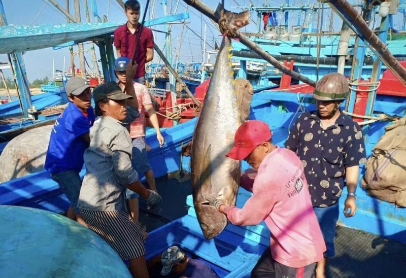 Việt Nam nhập khẩu nhiều nông sản, có đáng lo?- Ảnh 1.