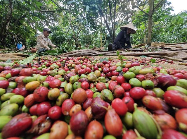 'Điểm nghẽn' nào khiến 5 ngành hàng tỉ USD cùng kiến nghị tháo gỡ?  - Ảnh 1.