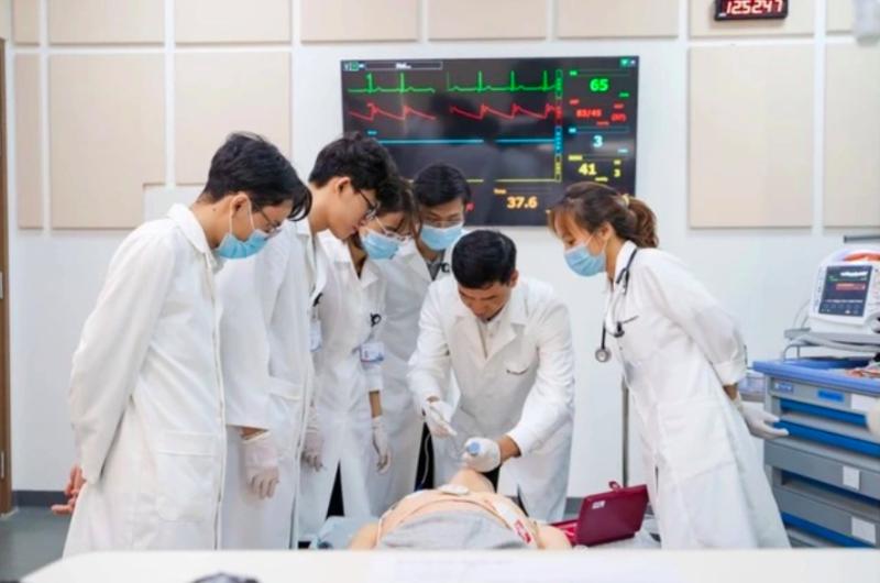 Cả nước có bao nhiều trường đào tạo bác sĩ và luật sư? - Ảnh 1.