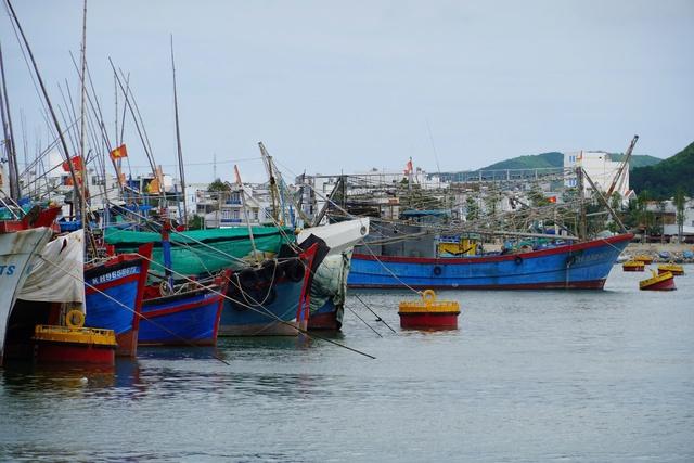 Khánh hòa thành lập 9 tổ công tác ứng phó bão Kalmaegi để bảo vệ người dân - Ảnh 1.