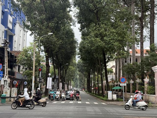 Dự báo thời tiết TP.HCM hôm nay: Mưa lớn khắp nơi từ buổi chiều - Ảnh 3.