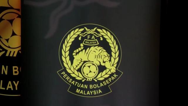 Bộ trưởng Malaysia yêu cầu FAM chịu trách nhiệm, ủng hộ điều tra độc lập bê bối nhập tịch- Ảnh 2.