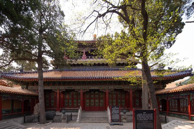Lần đầu tiên mở cửa 'khu vườn bí mật' trong Tử Cấm Thành sau 100 năm - Ảnh 2.