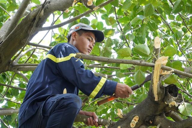 Trước giờ bão số 13 Kalmaegi đổ bộ, người dân ven biển chạy đua với thời gian - Ảnh 4.