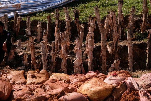 Khẩn cấp triển khai 48 mũi khoan phụt chống thấm thân đập hồ chứa nước Cay An - Ảnh 6.