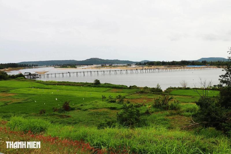 Cầu gỗ Ông Cọp - cây cầu gỗ dài nhất Việt Nam biến mất sau bão Kalmaegi - Ảnh 1.