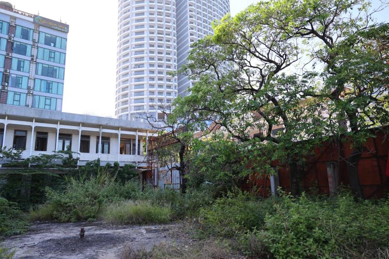 Khu 'đất vàng' bỏ hoang rộng 3.600 m² ven biển Nha Trang sắp được đấu giá- Ảnh 4.