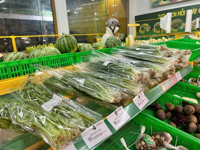 Giá rau tăng quá cao: Người săn sale, người tập tành trồng rau… - Ảnh 3.
