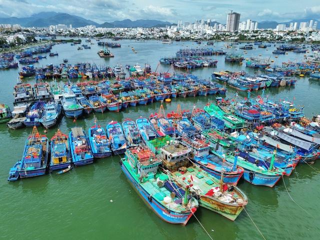 Ứng phó bão số15: Khánh Hòa ra lệnh khẩn, cấm biển từ 7 giờ ngày 28.11- Ảnh 1.