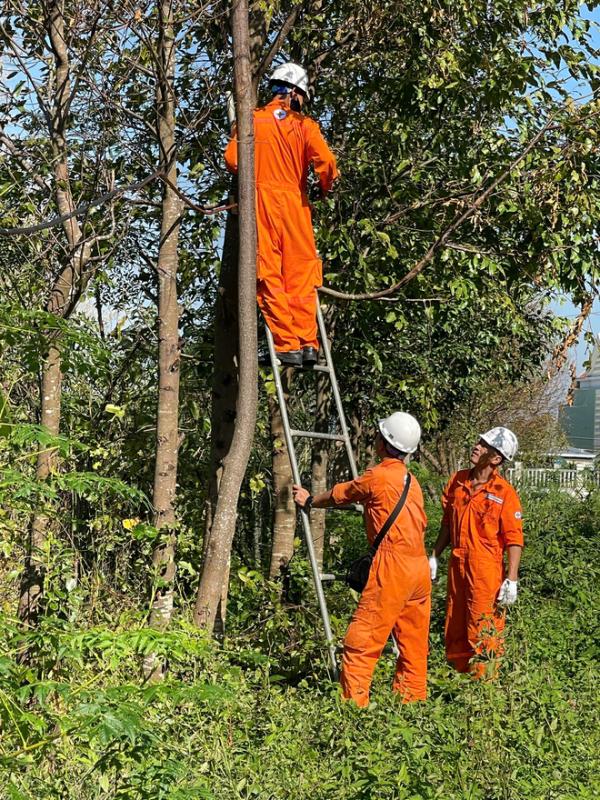 EVNGENCO3 hỗ trợ hơn 7 tỉ đồng cho miền Trung, Tây nguyên sau bão lũ - Ảnh 1.