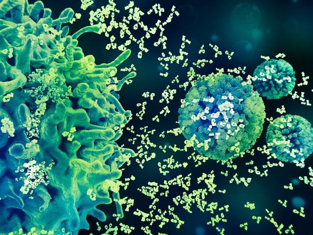 Bộ ba bảo vệ khỏi HPV: Tiêm chủng, xét nghiệm tầm soát, theo dõi kịp thời- Ảnh 1.