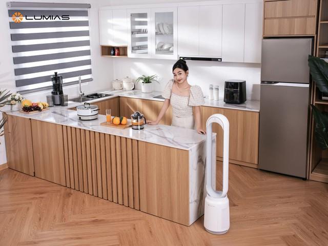 Chiến lược ‘thực dụng’ giúp Lumias chinh phục phân khúc gia dụng tầm trung tại Việt Nam - Ảnh 1.