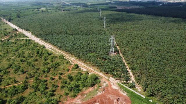 Khu vực thi công sân bay Long Thành tiêu thụ điện tương đương một doanh nghiệp lớn- Ảnh 4.
