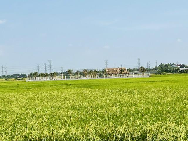 Sở Tài nguyên - Môi trường lý giải vì sao giá đất nông nghiệp thấp   - Ảnh 1.
