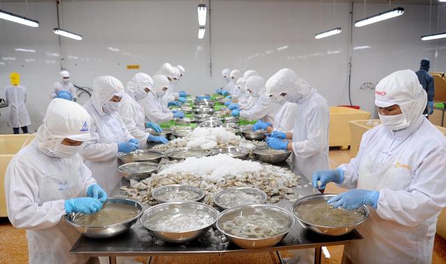 Cà Mau: Thưởng tết 2026 cao nhất 200 triệu, lương bình quân đến 12 triệu đồng người   - Ảnh 1.