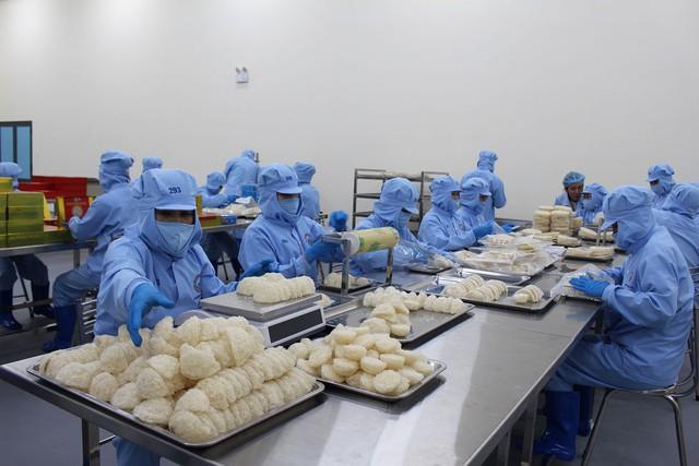 Khánh Hòa: Đánh thức 'viên ngọc' kinh tế biển và nông nghiệp công nghệ cao- Ảnh 2.