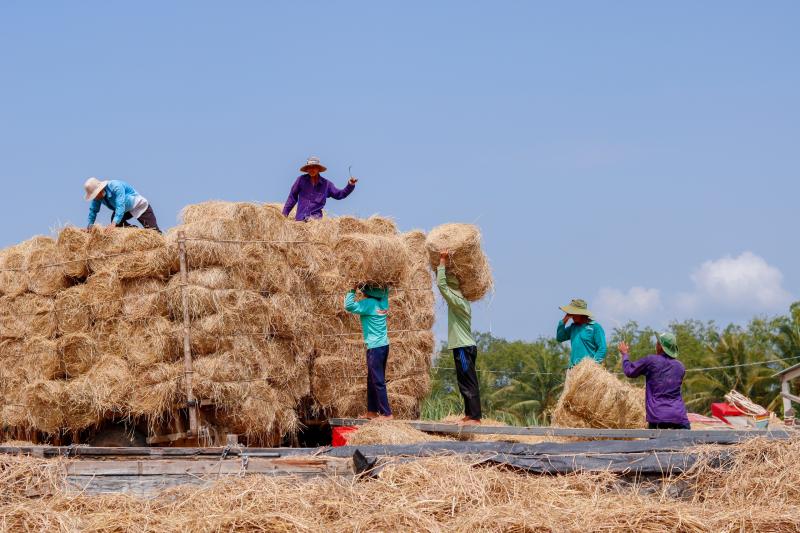 Những ngôi chợ độc nhất miền Tây: Chợ rơm Ba Lai, nơi rác ruộng hóa 'vàng'   - Ảnh 3.