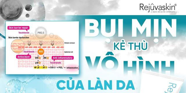 Ô nhiễm, bụi mịn PM2.5 lấp từng lỗ chân lông: Da chống đỡ thế nào?- Ảnh 3.