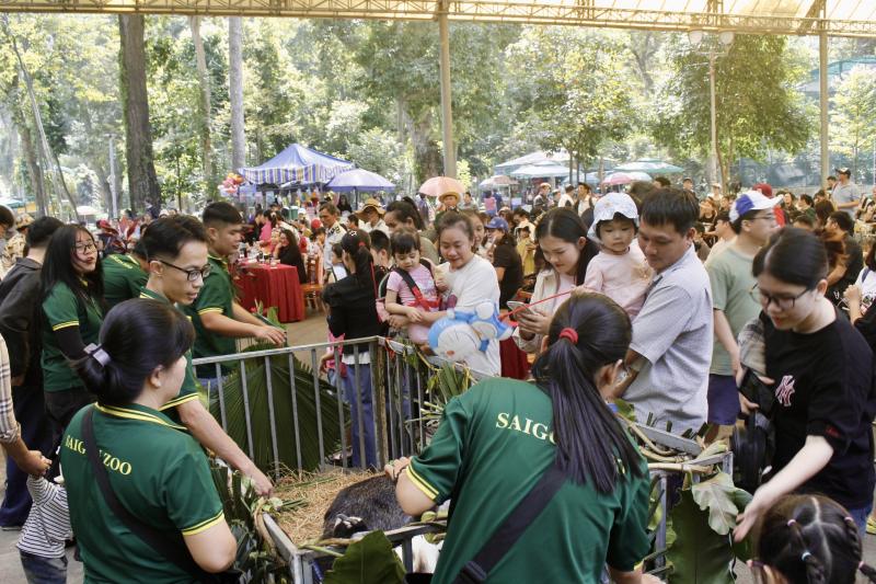 Từ mèo hoang thành 'chủ tịch': Mika khuấy đảo họp fan Thảo Cầm Viên Sài Gòn - Ảnh 4.