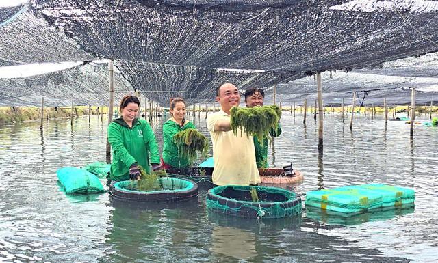 Khánh Hòa: Đánh thức 'viên ngọc' kinh tế biển và nông nghiệp công nghệ cao- Ảnh 4.