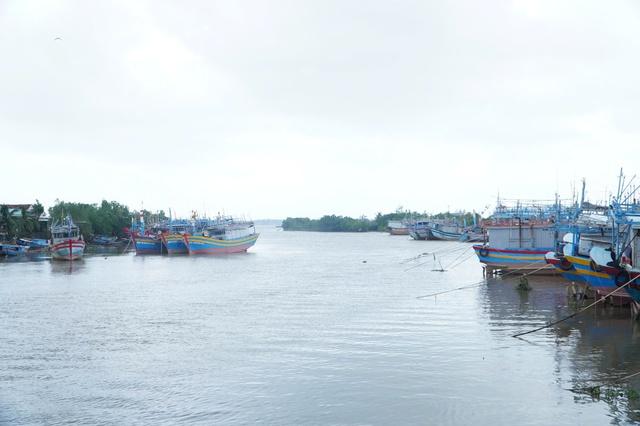  - Ảnh 4.