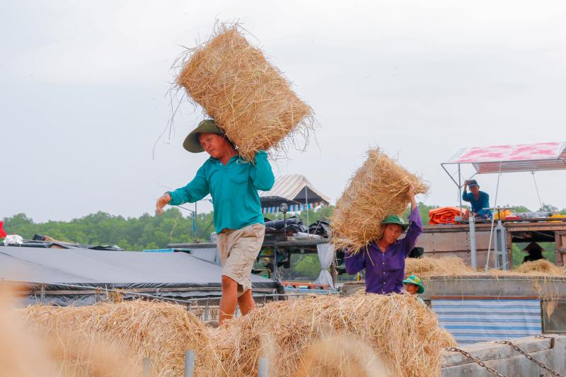 Những ngôi chợ độc nhất miền Tây: Chợ rơm Ba Lai, nơi rác ruộng hóa 'vàng'   - Ảnh 5.