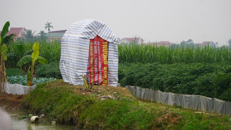 Giá ớt lập kỷ lục , nông dân thanh hóa trăn trở về bảo vệ mùa vụ - Ảnh 7.