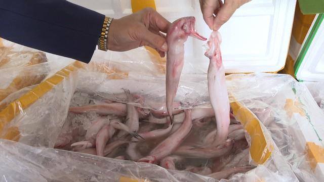 Phát hiện hơn 10 tấn cá khoai chứa formol - Ảnh 2.