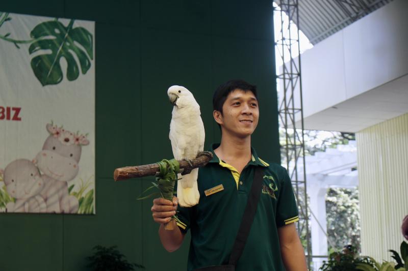 Từ mèo hoang thành 'chủ tịch': Mika khuấy đảo họp fan Thảo Cầm Viên Sài Gòn - Ảnh 8.