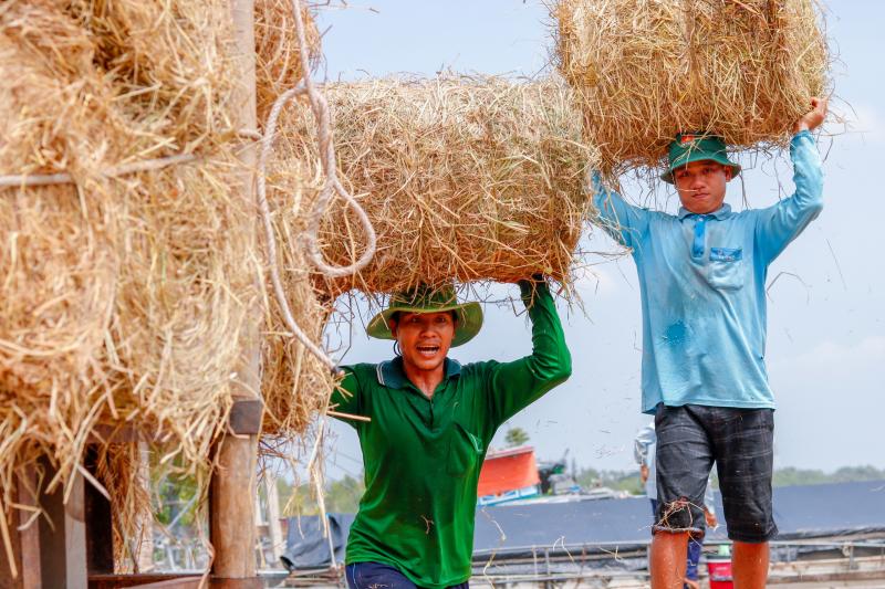 Những ngôi chợ độc nhất miền Tây: Chợ rơm Ba Lai, nơi rác ruộng hóa 'vàng'   - Ảnh 9.