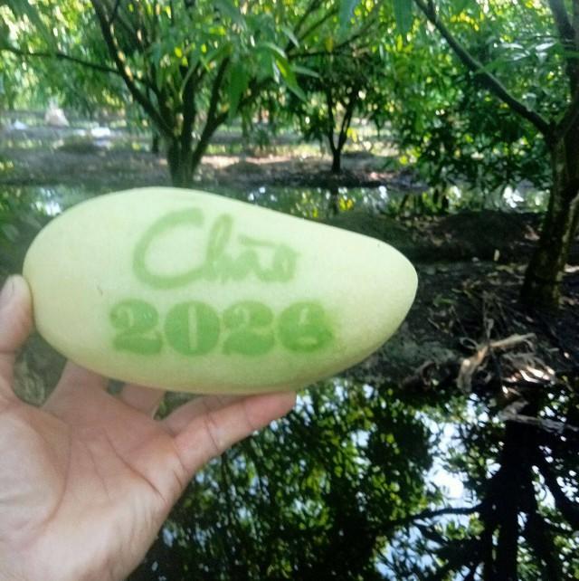 Trái cây tạo hình Tết Bính Ngọ: Nhà vườn miền Tây chăm chút từng sản phẩm- Ảnh 2.