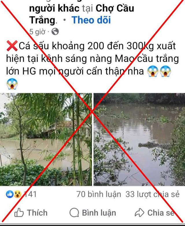 Cá sấu 'khủng' xuất hiện ở kênh xáng Nàng Mau là thông tin sai sự thật- Ảnh 1.
