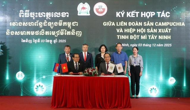 Tây Ninh 'chốt' mua 9 triệu tấn sắn mỗi năm từ Campuchia- Ảnh 1.