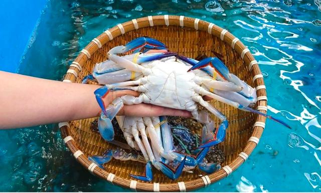 Xuất khẩu thủy sản sang Mỹ nguy cơ ách tắc vì giấy chứng nhận xuất xứ- Ảnh 2.