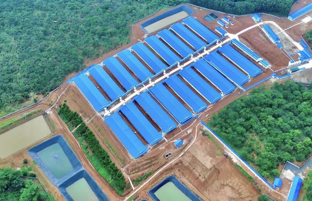 'HDPE thì ngon luôn' là trend gì mà khắp cõi mạng ai cũng nói? - Ảnh 2.