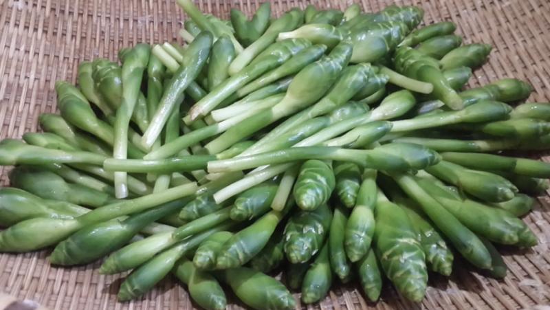Món ăn từ bông gừng đang 'hot trend': Nhiều người lần đầu ăn 'quá bất ngờ' - Ảnh 1.