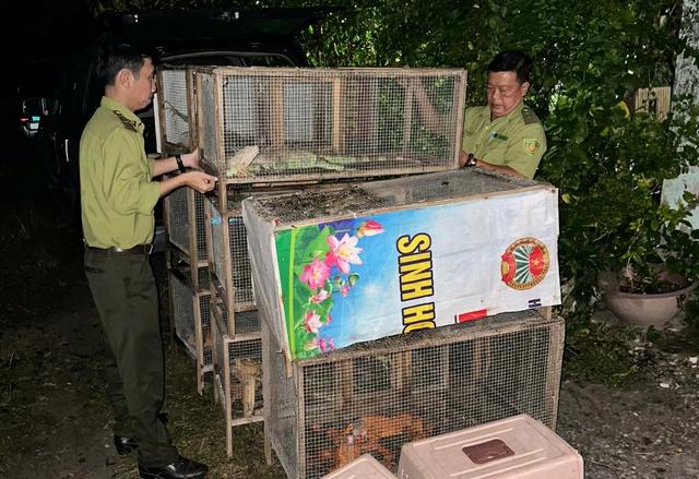 Phát hiện nhiều cá thể rồng Nam Mỹ không có hồ sơ hợp pháp nuôi nhốt- Ảnh 2.