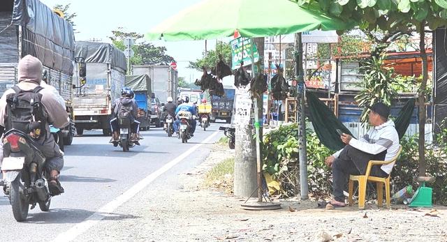 Buôn bán chim trời, thú rừng: 'Chợ đen' công khai thách thức pháp luật - Ảnh 5.