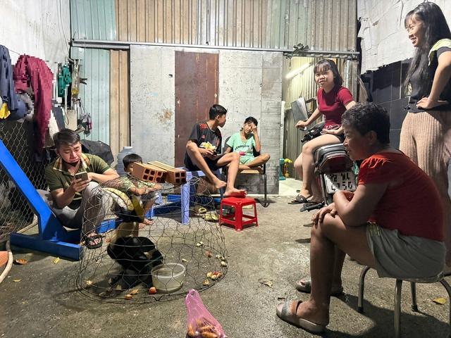 Liên tiếp bắt được chim Hồng Hoàng quý hiếm tại Hóc Môn - Ảnh 2.