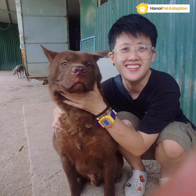 Chim Cú lợn Cú Đá hồi sinh kỳ diệu Sau khi bị Đá ra bãi rác - Ảnh 3.