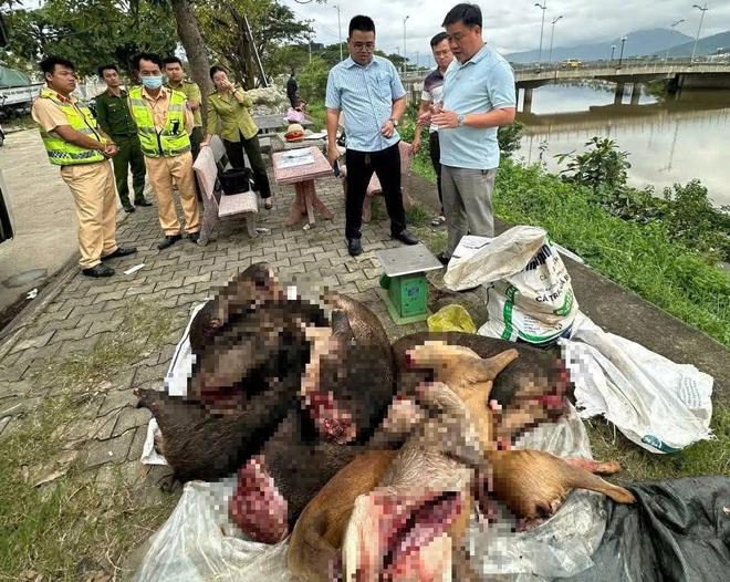 Xe khách chở lượng lớn thịt nghi động vật hoang dã qua hầm Hải Vân- Ảnh 2.