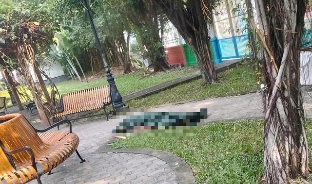 TP.HCM: Tá hỏa phát hiện người đàn ông tử vong trong công viên- Ảnh 1.