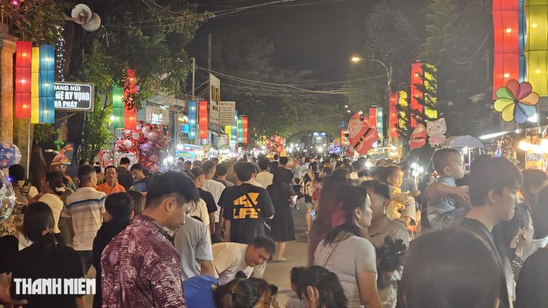 Cây thông nón lá sáng đèn, mỗi đêm đón hàng ngàn người đến chiêm ngưỡng - Ảnh 7.