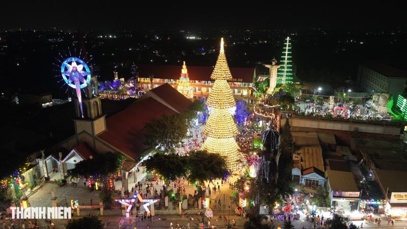 Cây thông nón lá sáng đèn, mỗi đêm đón hàng ngàn người đến chiêm ngưỡng - Ảnh 1.