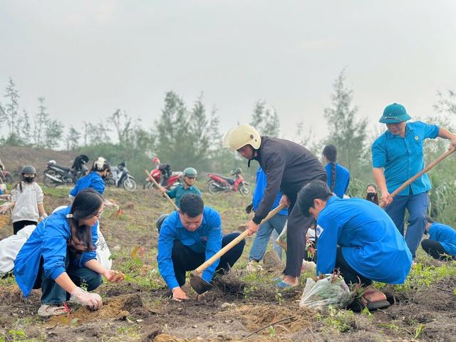 Tuổi trẻ Hà Tĩnh phủ xanh lại rừng phòng hộ sau đợt bão lũ - Ảnh 1.