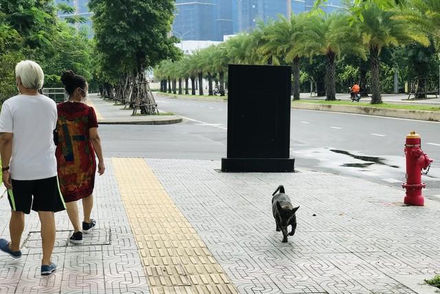 Chịu trách nhiệm hình sự tội gì nếu thú cưng gây chết người?- Ảnh 2.